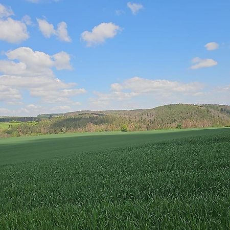 Ferienhaus-Wurzbach エクステリア 写真