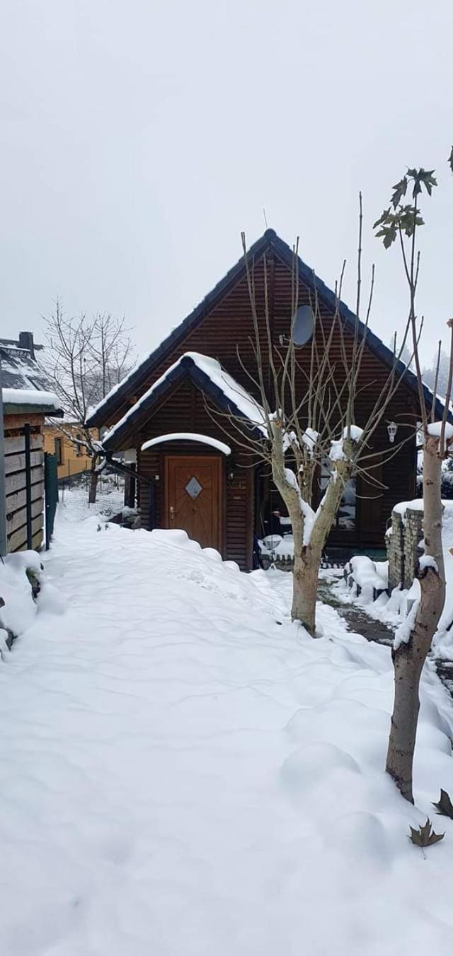 Ferienhaus-Wurzbach エクステリア 写真