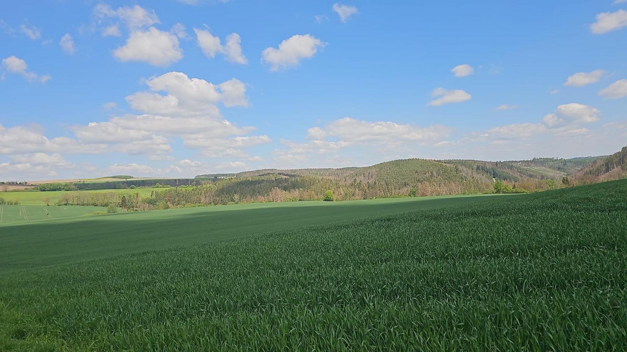 Ferienhaus-Wurzbach エクステリア 写真